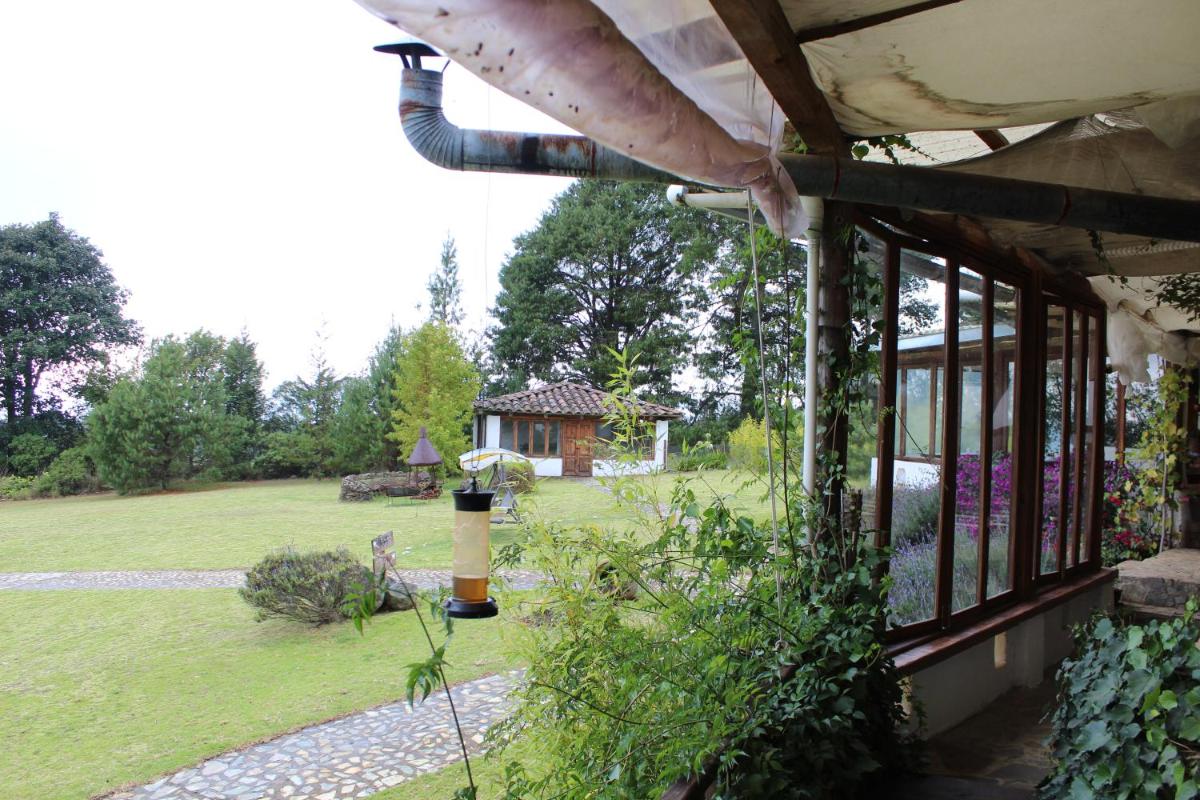 Casa Kitsch - Housity
