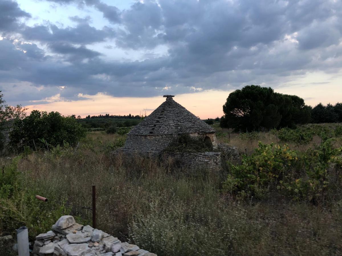 Villa Valeria B&B - Housity