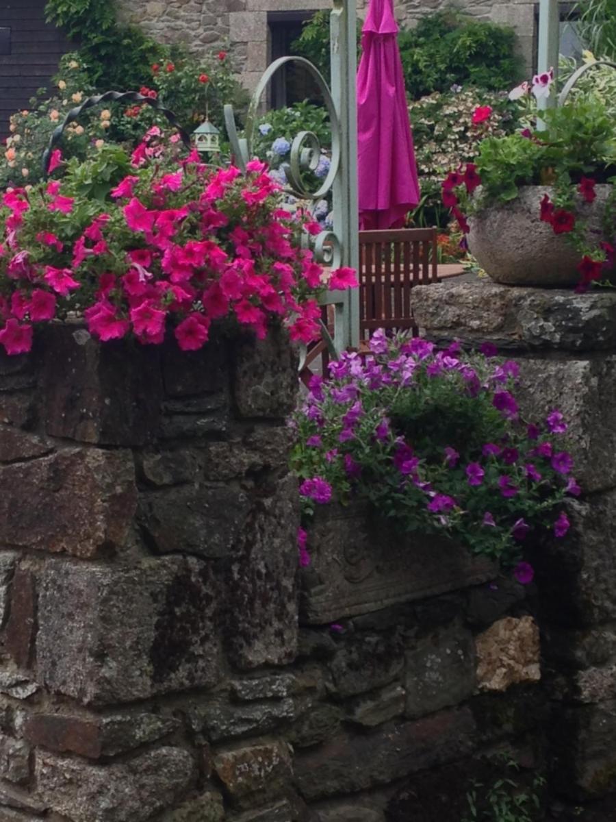 Le Petit Chateau, Matisse - Housity