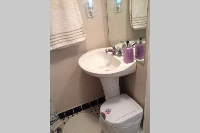 The Wild Rose - Housity