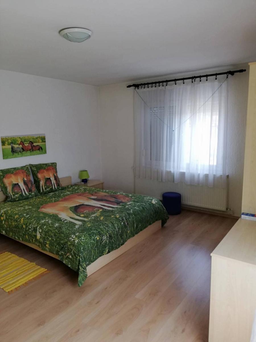 Apartment at Gagijevo sedlo - Housity