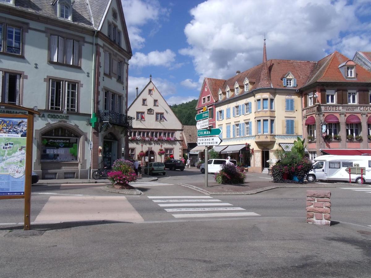 l'ecureuil - Housity
