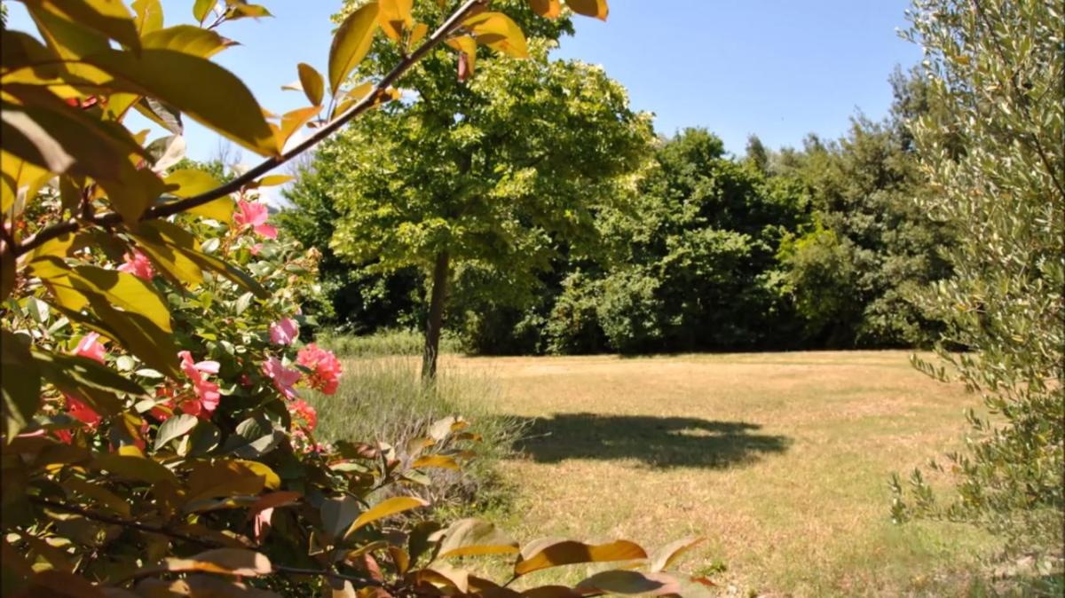 Suitetrails - Stone farmhouse in Moie
