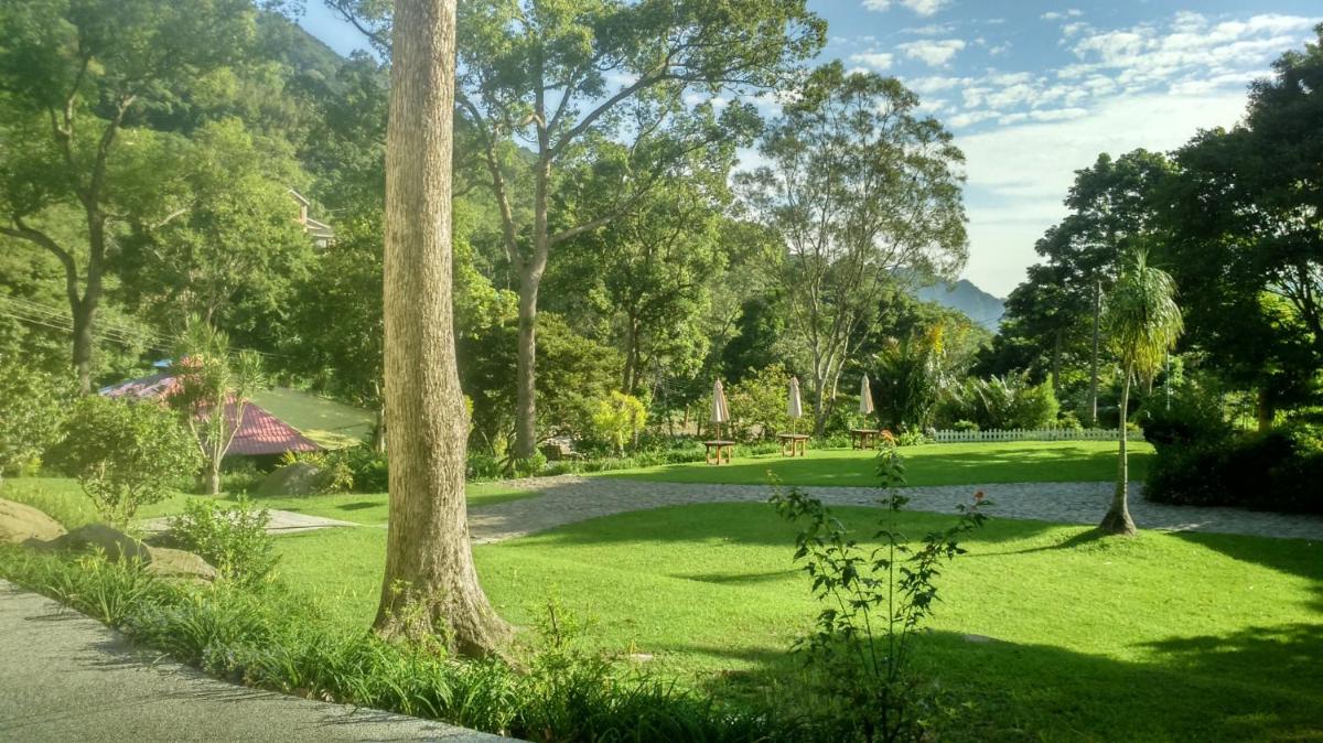Hemerocallis Country House - Housity