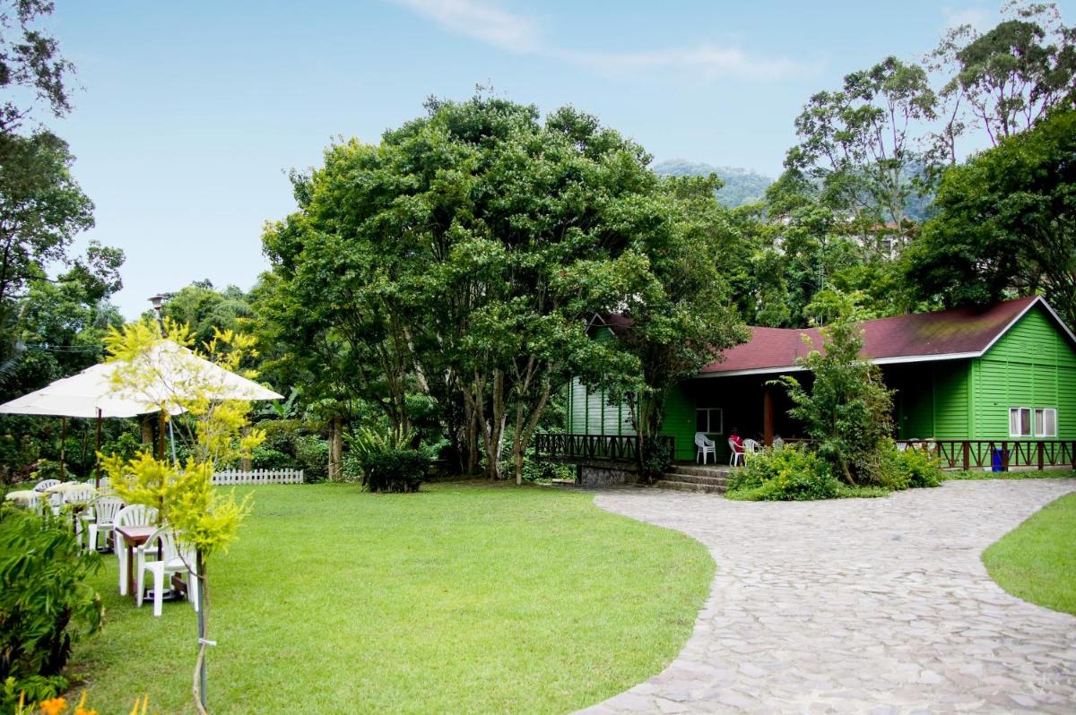 Hemerocallis Country House - Housity