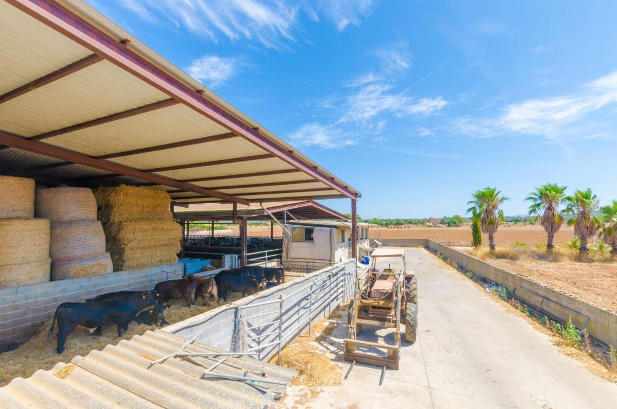 Sa Caseta De Ses Vaques. Son Covas (Sa Vaqueria 2) - Housity