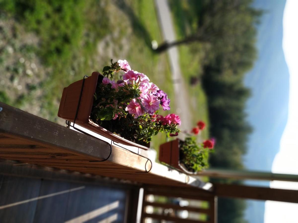 Family Hotel Panorama - Housity