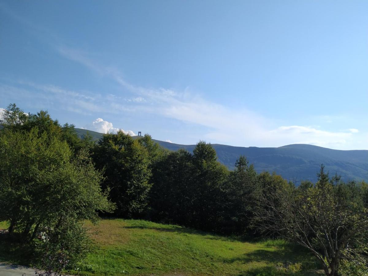 Family Hotel Panorama - Housity