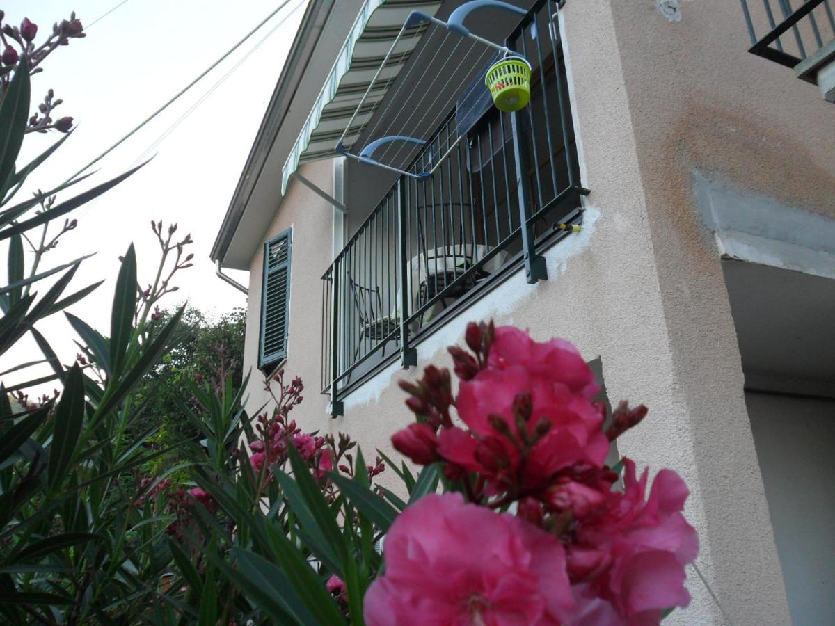 Casa delle Rose - Housity