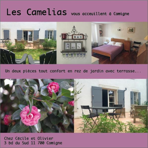 C&O Appartements - Housity
