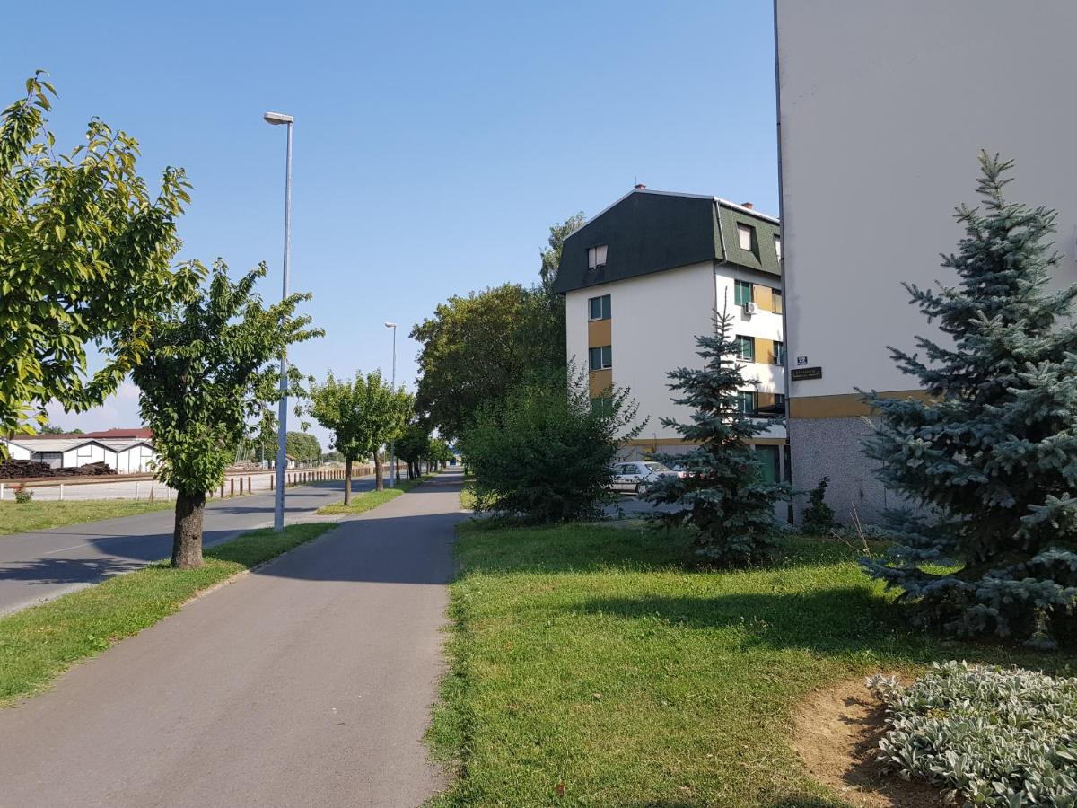 Apartment Petra - Housity