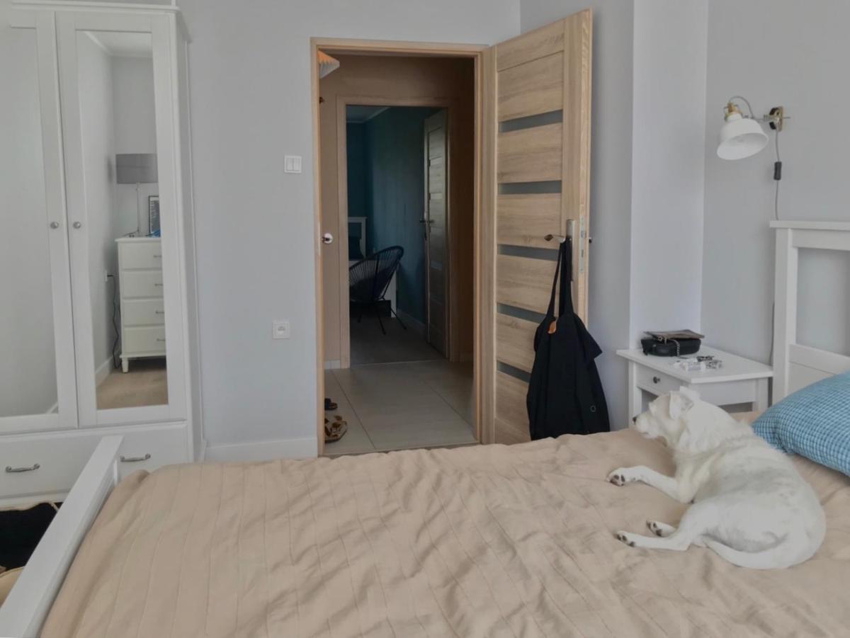 Oficyna Winiarza - Housity