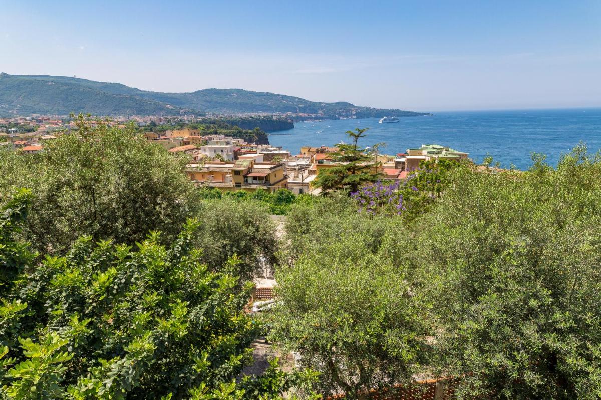 Bleu Village - Housity