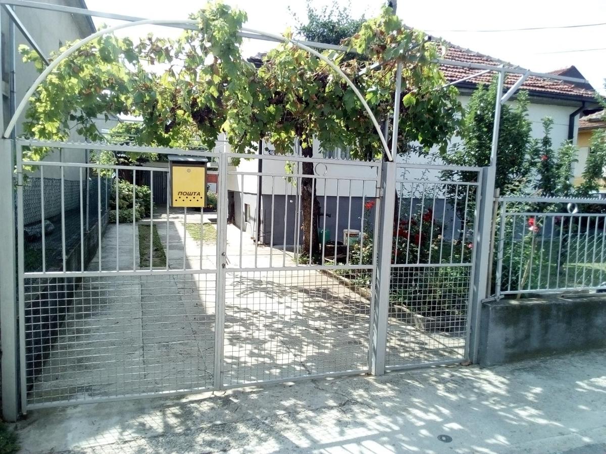 Peace - Housity