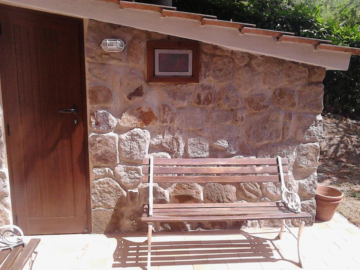 Casa Vacanze Il Castagneto - Housity