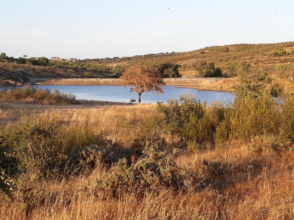 Herdade dos Mestres - Housity