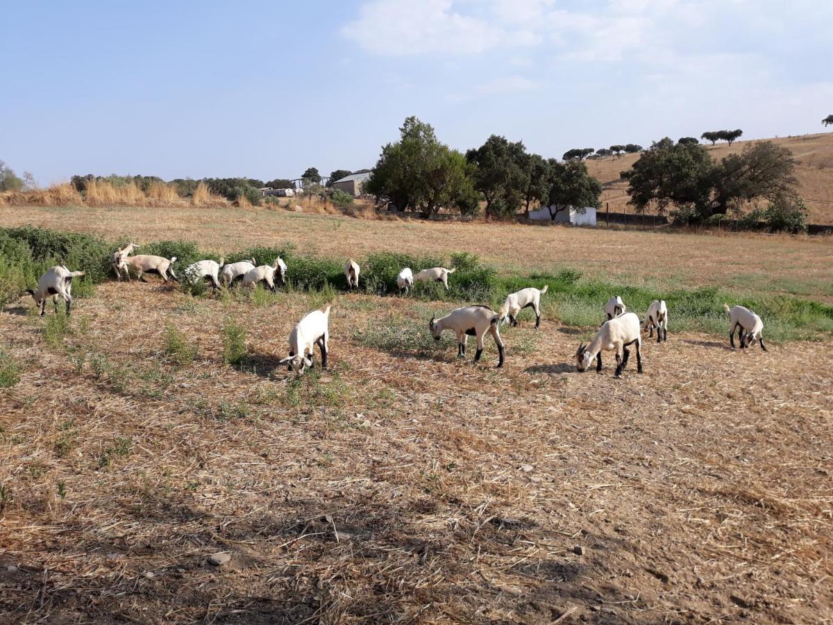 Herdade dos Mestres - Housity