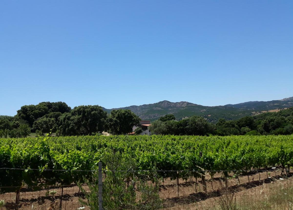 Agriturismo Su Pirastru - Housity