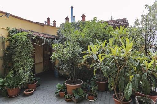 Marghera Apartments - Housity