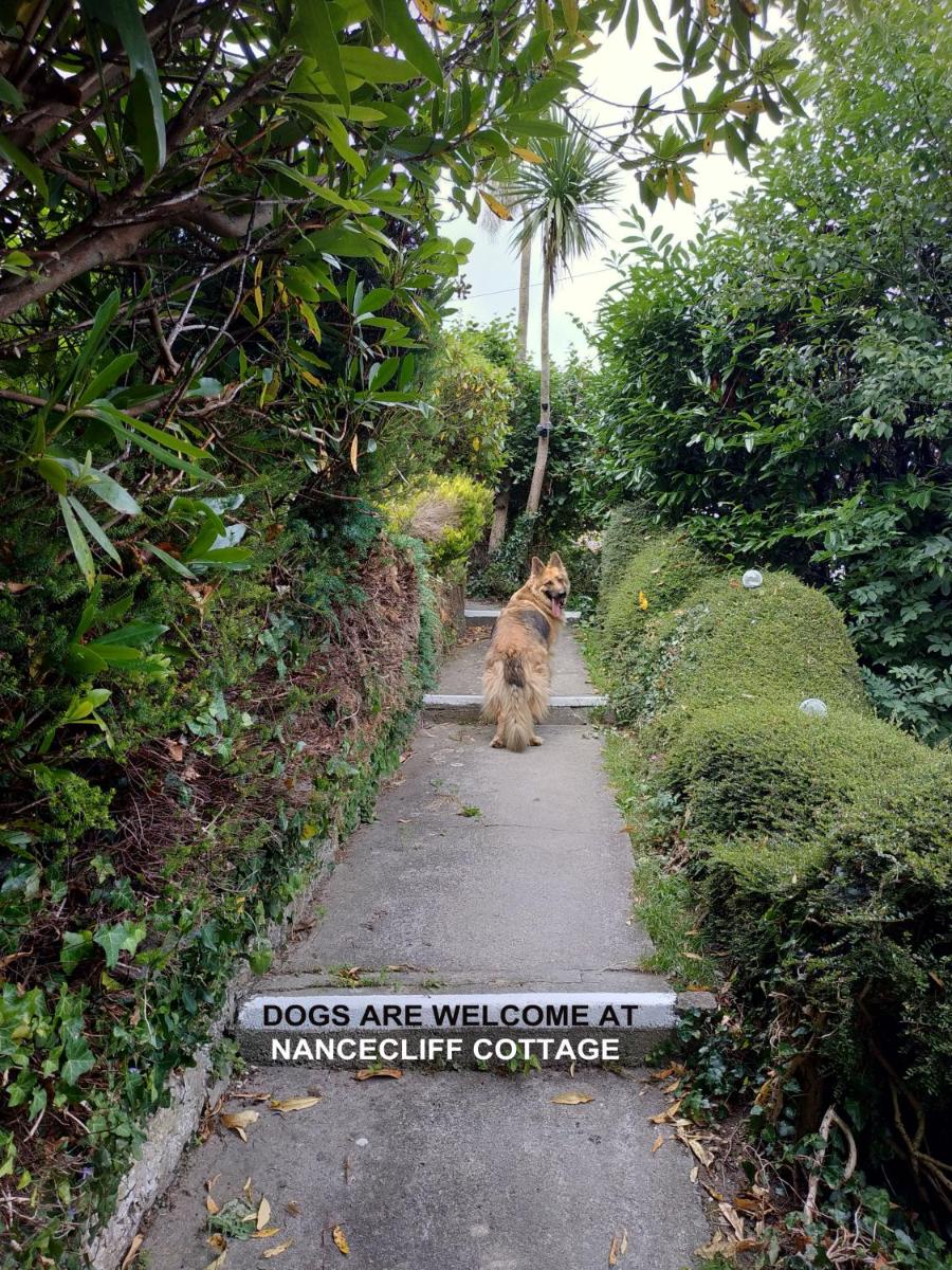 dog friendly nancecliff cottages - Housity
