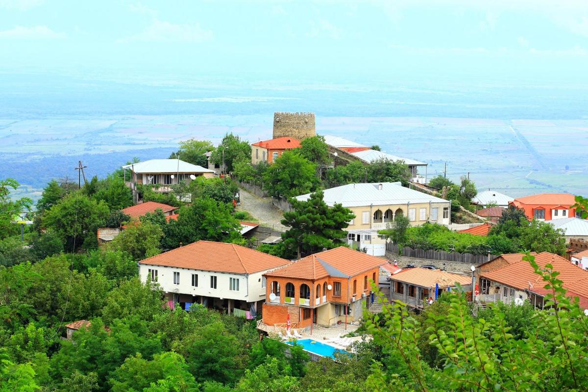 Guest House Pirosmani 60 - Housity