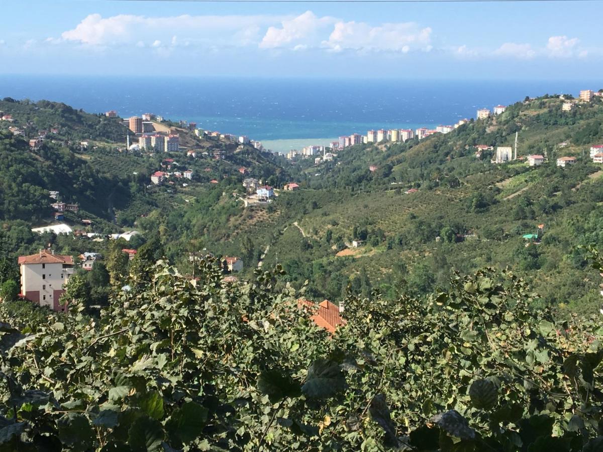 Suitetrails - Villa Banizo Great Black Sea View Village House