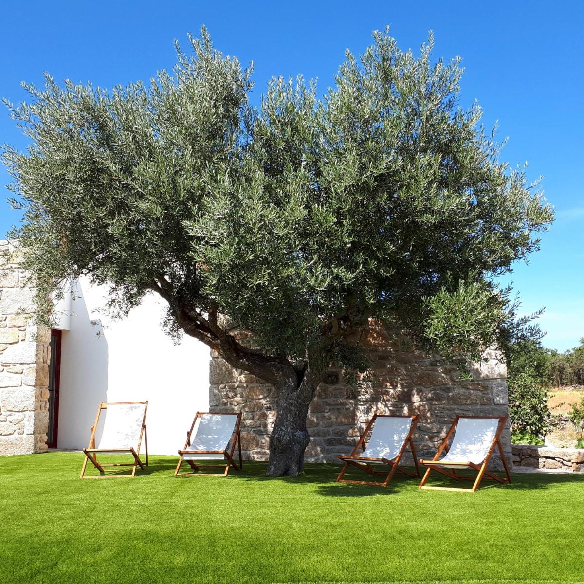 Puial de l Douro - Housity