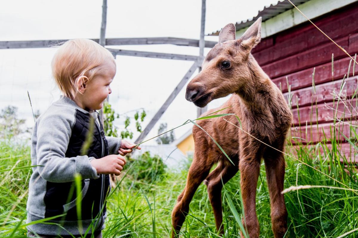 Moose Garden - Housity