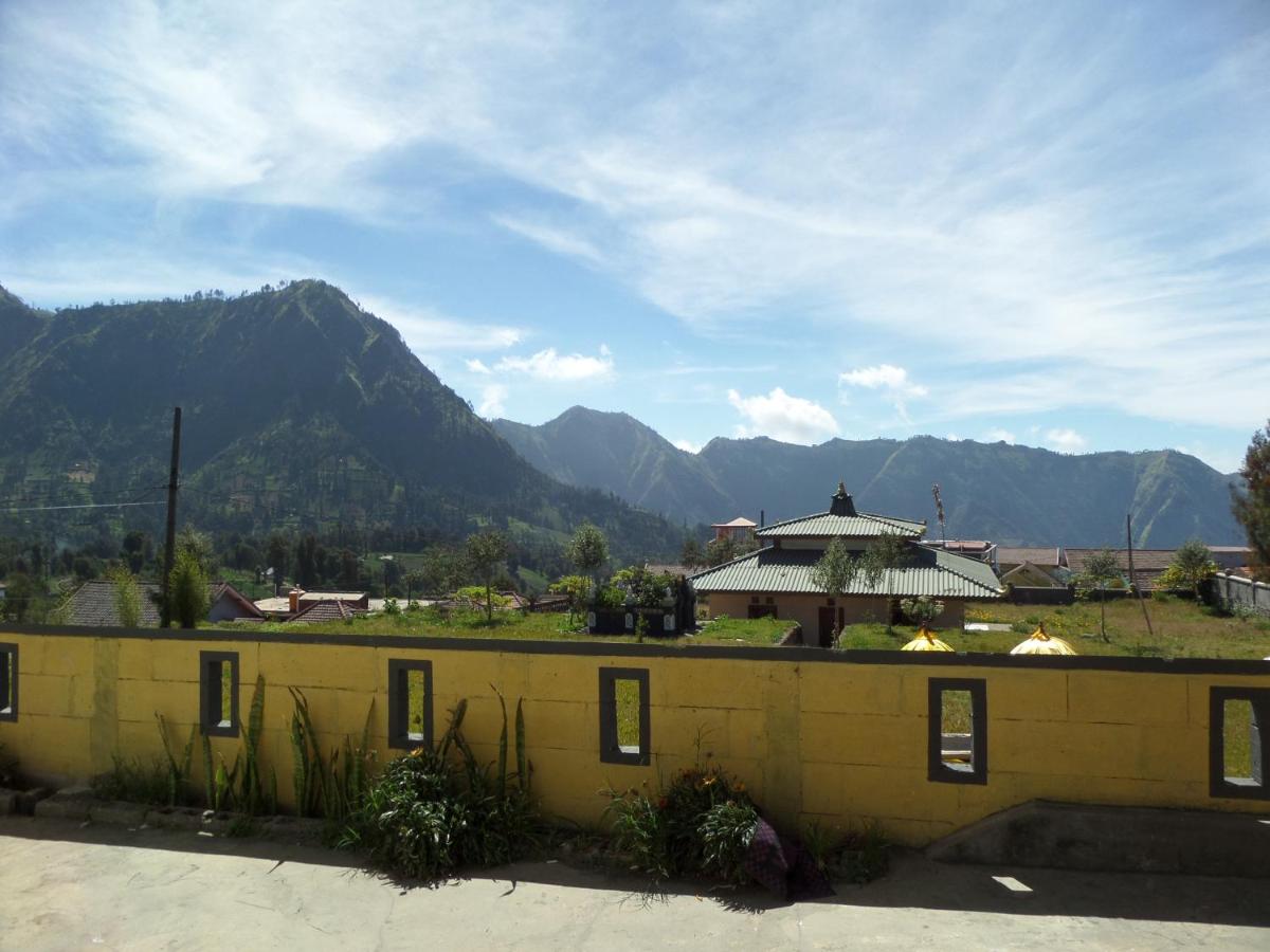 Yog Bromo Homestay - Housity