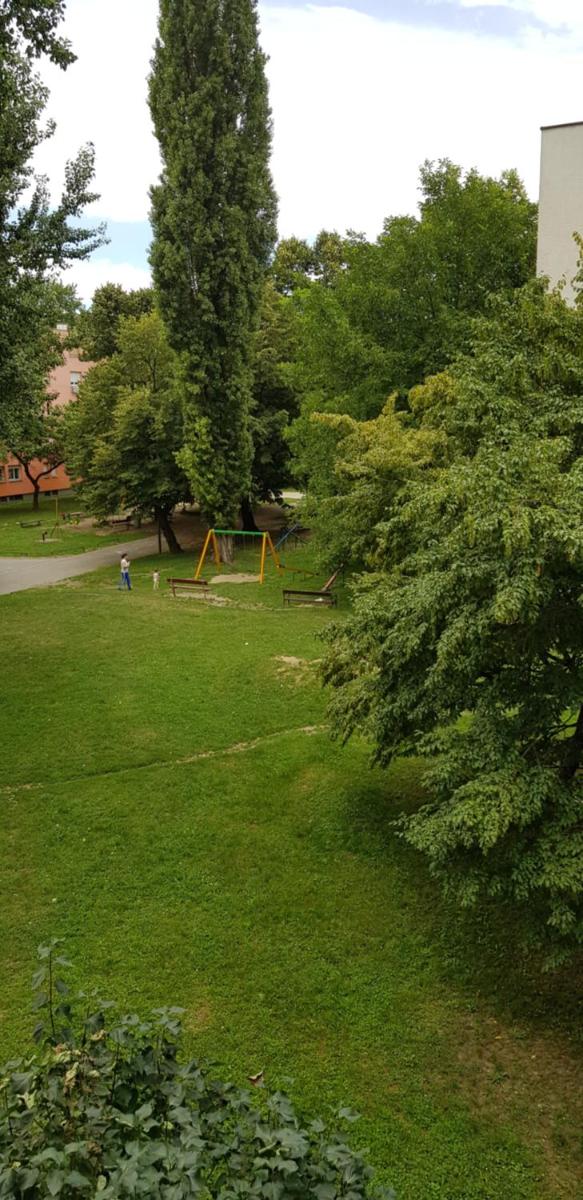 Orhideja Osijek - Housity