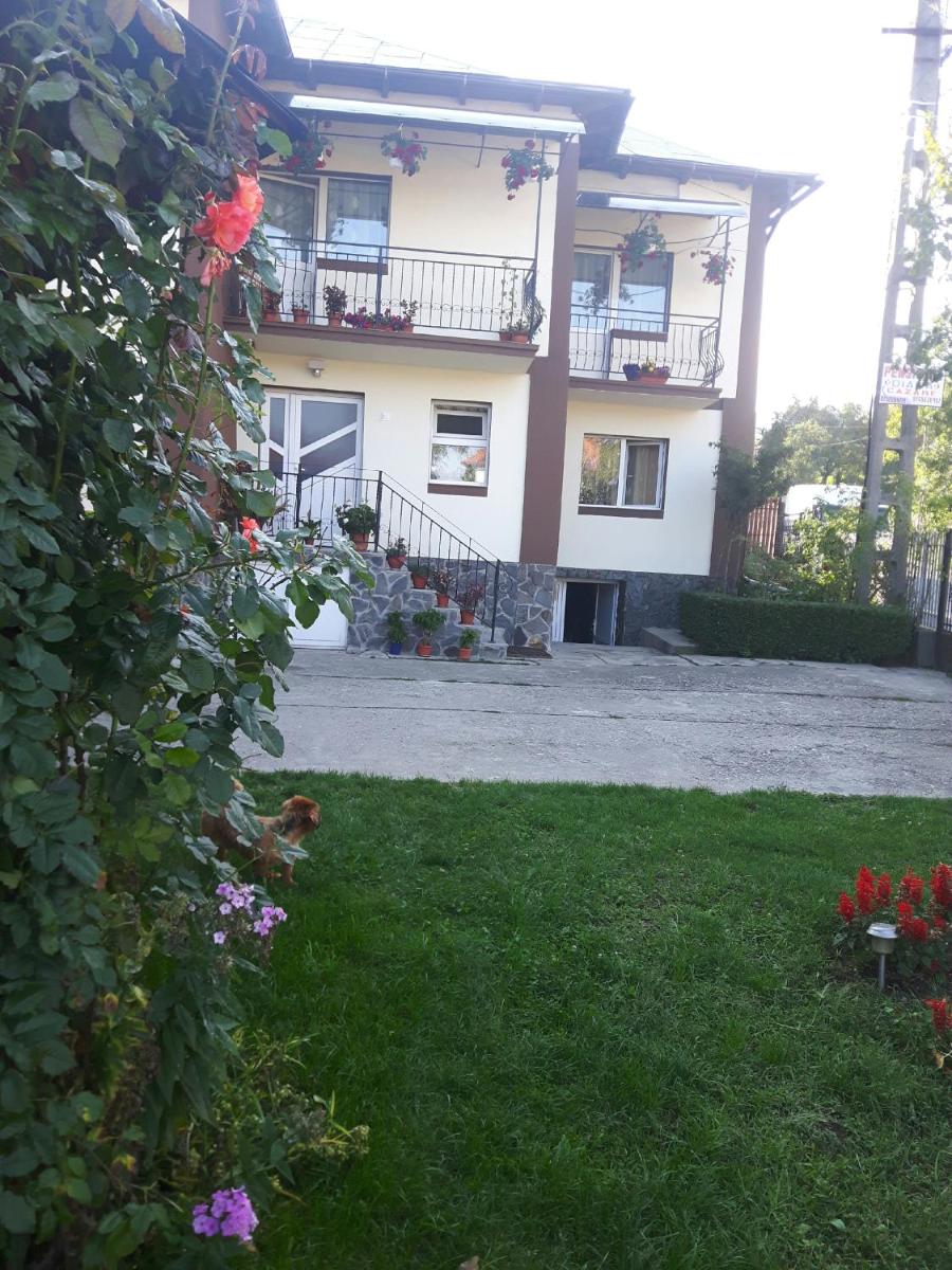 Pensiunea Diana - Housity