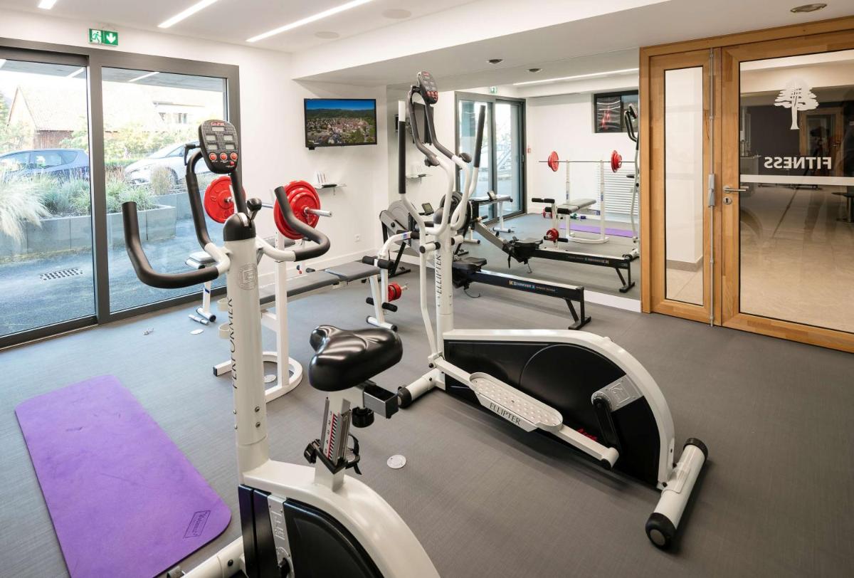 Salle ou équipements de sports de l'établissement Best Western Plus Hotel & SPA Le Schoenenbourg