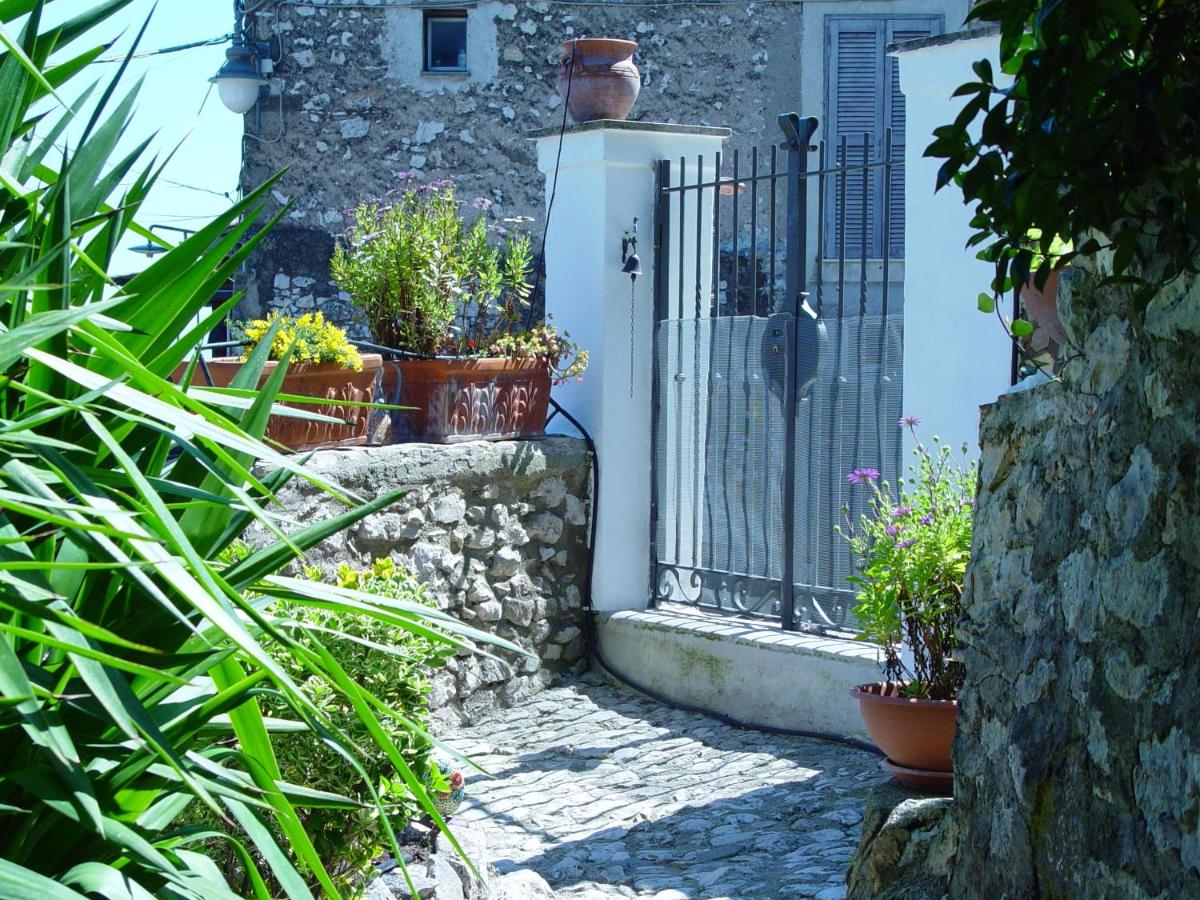 B&B Dell' Artista - Housity