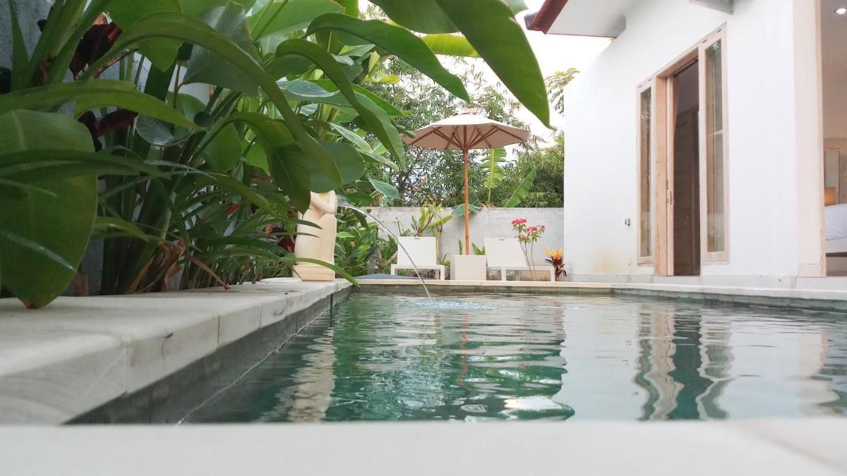 Villa Ummangur 2 BR Private Villa Near Lovina - Housity