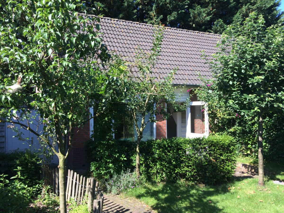 Green Garden House - Housity