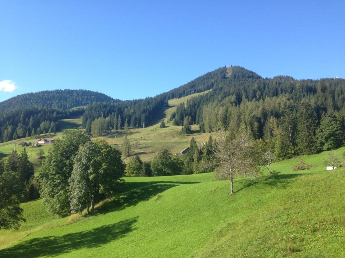Haus Mondspitze - Housity