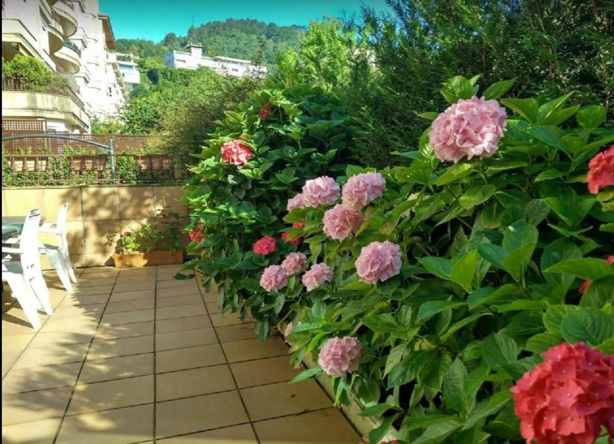 Ondarreta Beach & Terrace - Housity