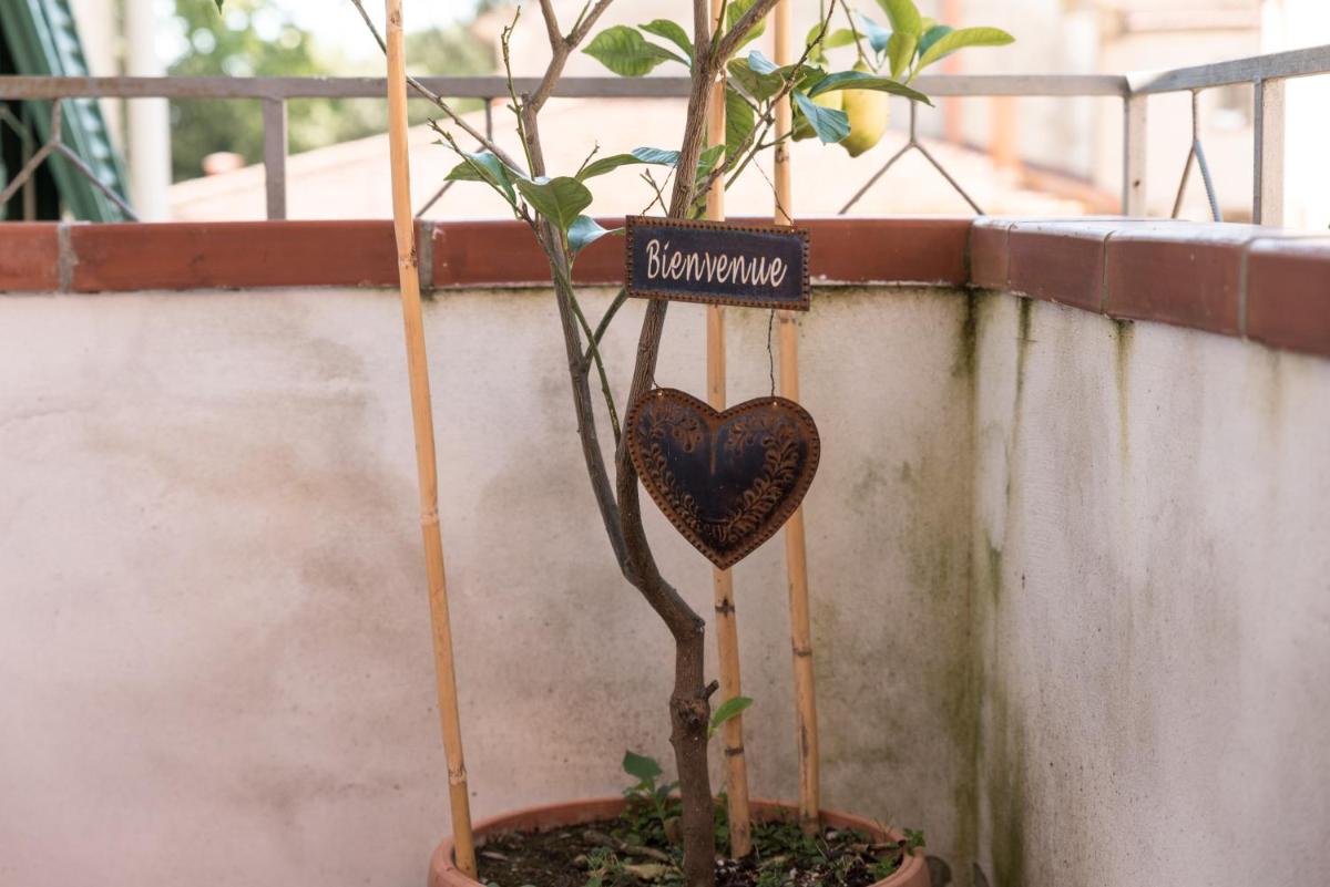 Accasamia Terricciola - Housity