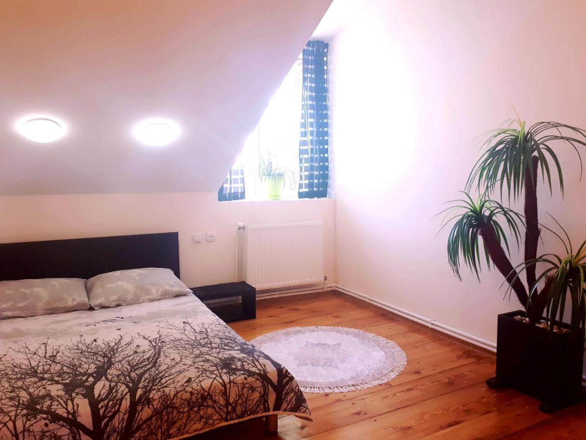 Karin House - Housity