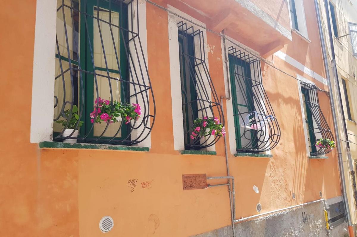 Le Petit Bouganville - Housity