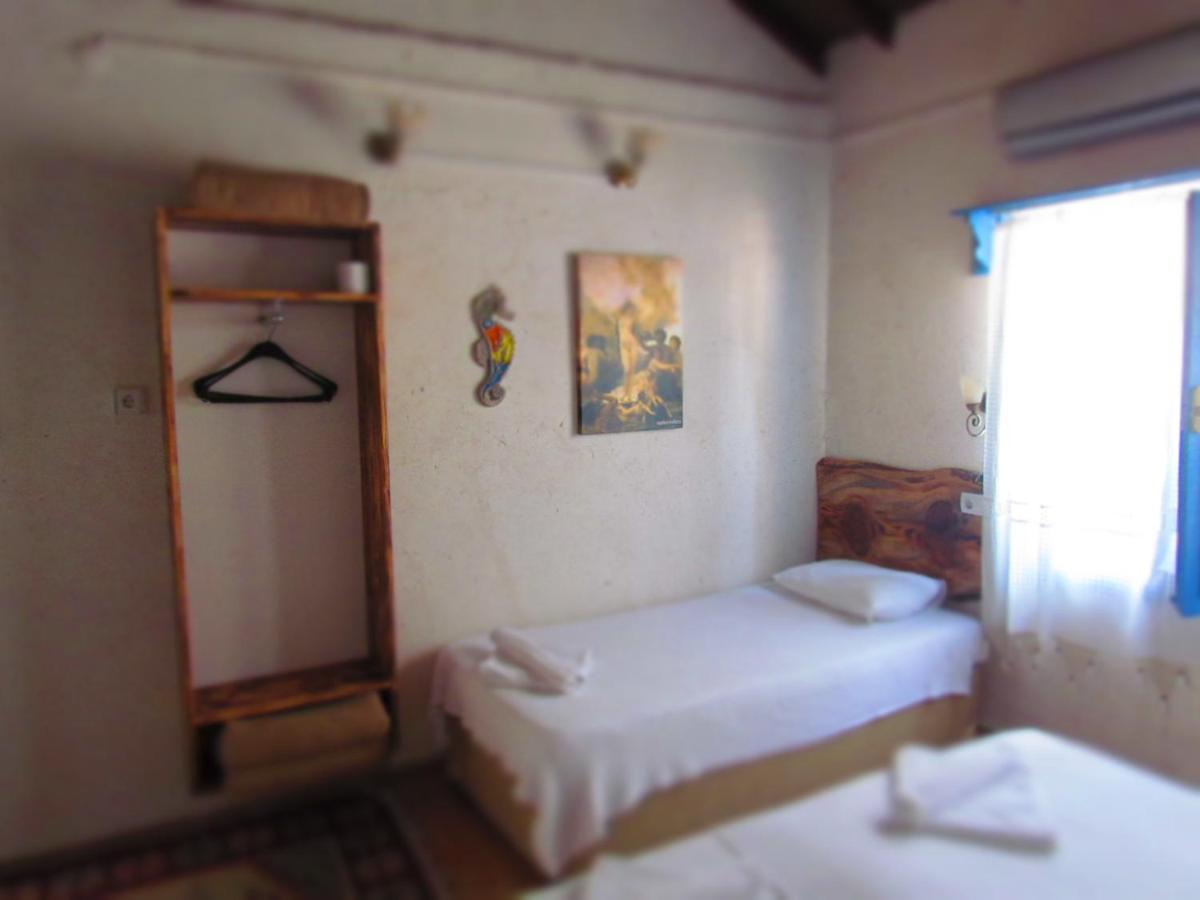 Amazon Antique - Housity