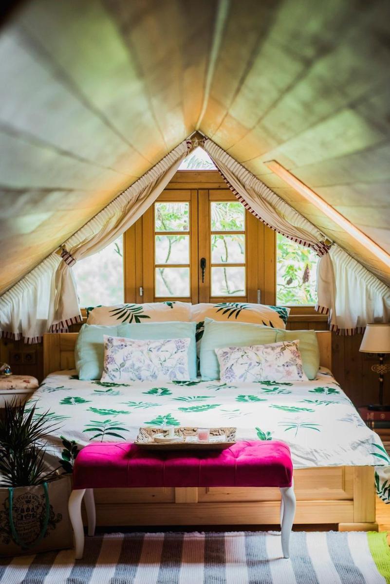 Villa Botanica - Housity