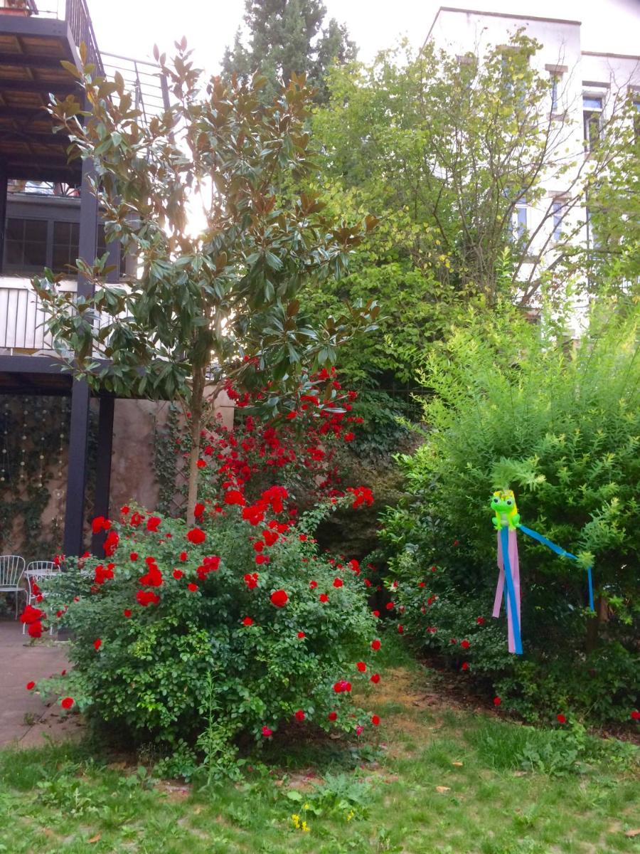 Villa Schiller, 2 studios côté jardin - quartier Orangerie - Housity