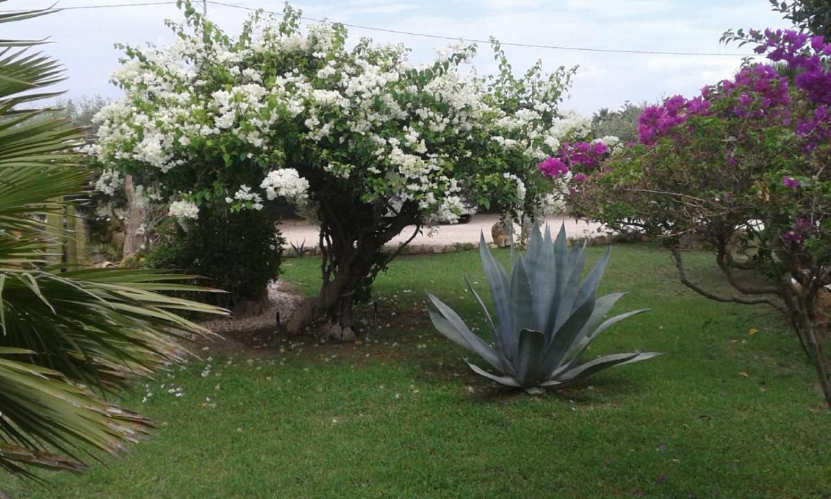 Lemalu' - Housity