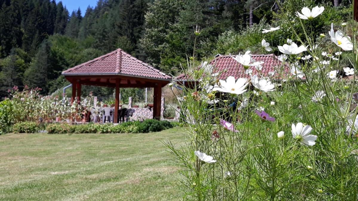 Villa Chaushevi - Housity