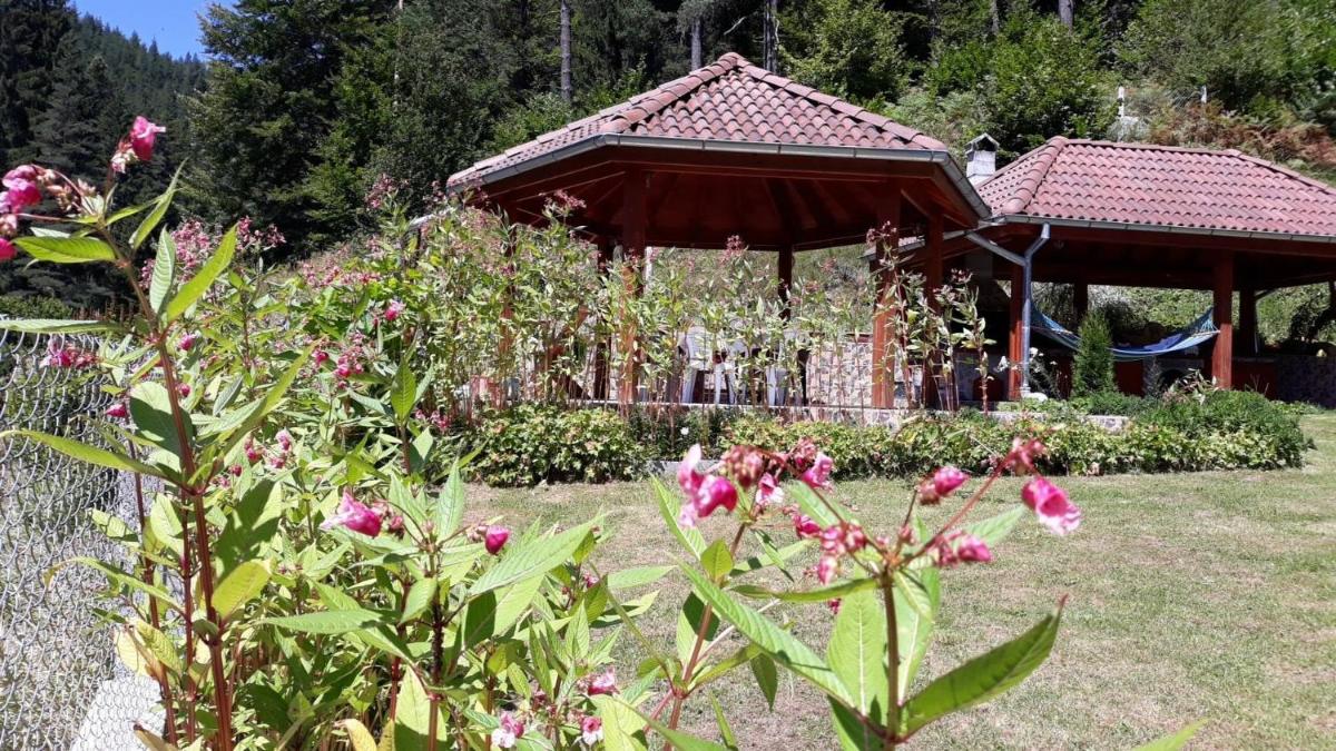 Villa Chaushevi - Housity