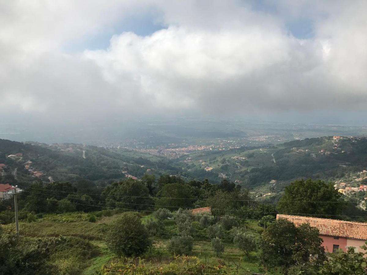 Hotel Bucolia - Housity