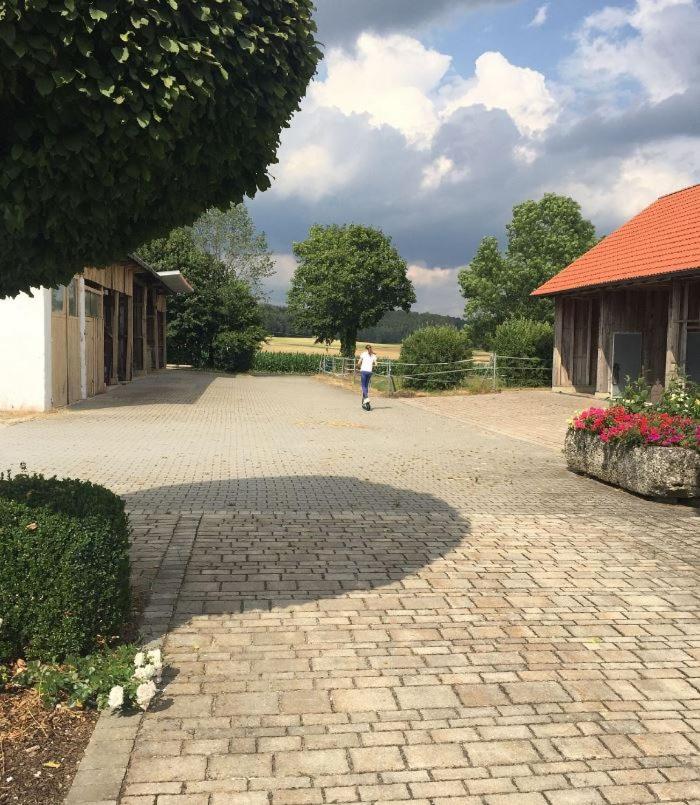 Ferienwohnung Baumgartner - Housity