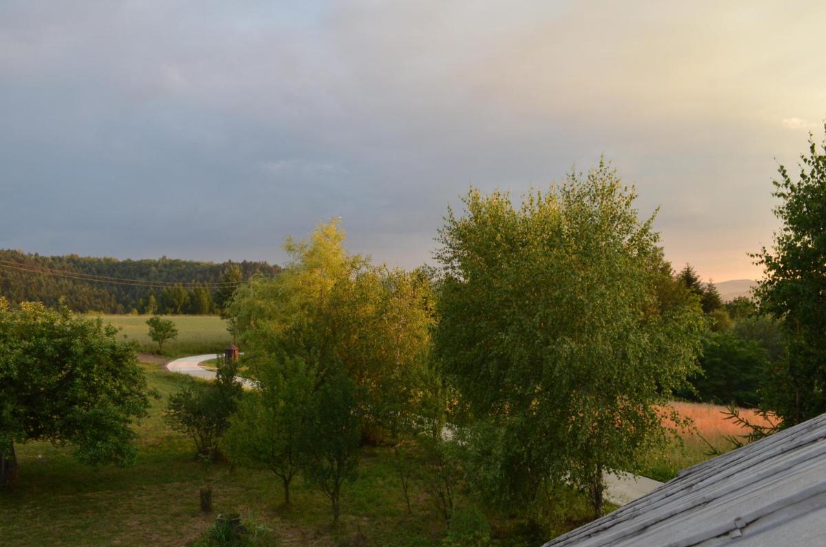 Zielone Wzgórza - Housity
