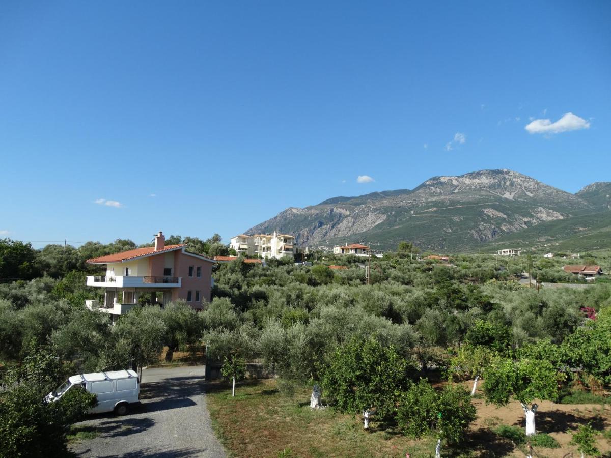 Stavi apartments - Housity